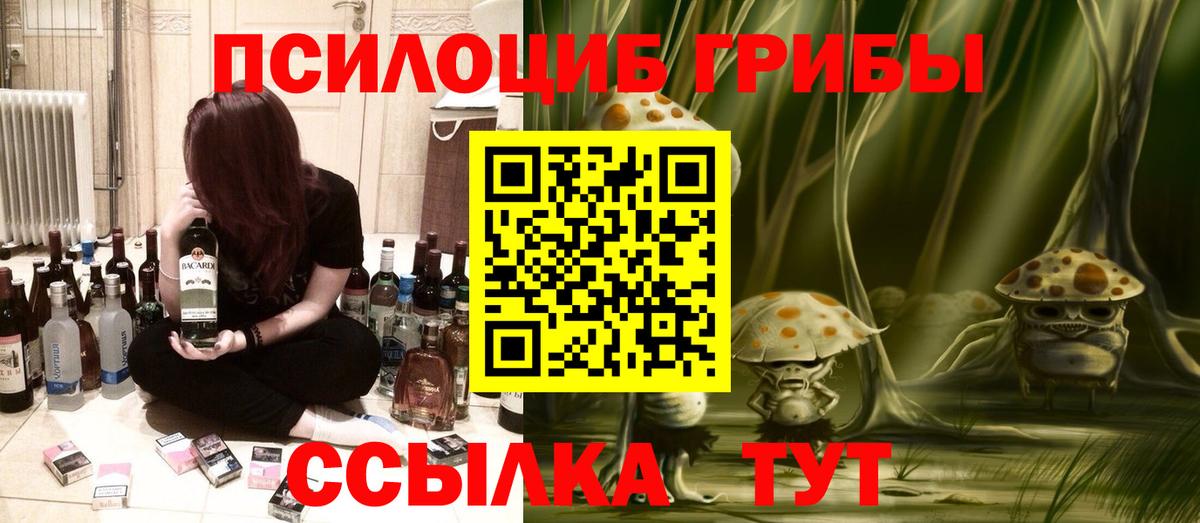 Галлюциногенные грибы Cubensis  Вход с VPN  Псилоцибиновые грибы мицелий  Долгопрудный 
