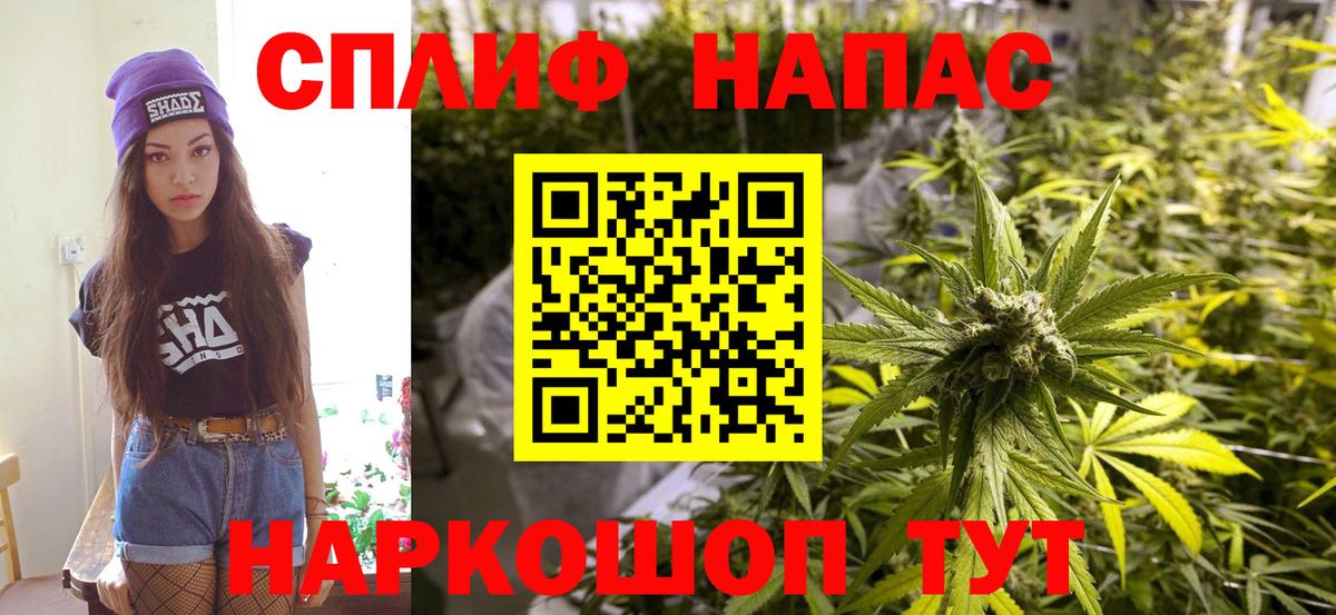 Бошки Шишки сатива Долгопрудный